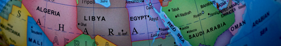 How an Executive Course Can Help Participants Lead Across Cultures