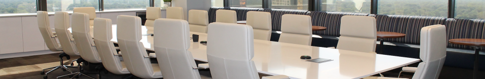 Executive Education Programs in Corporate Governance