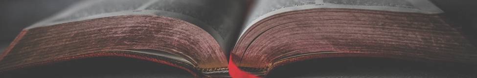 Beyond the Campfire: Storytelling for Leaders