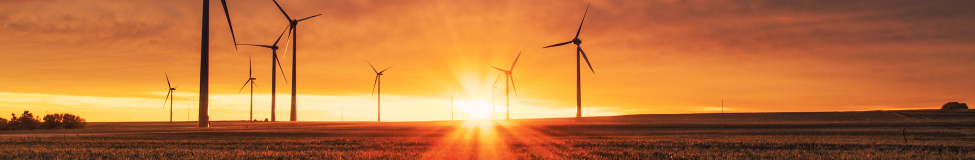Environmental, Social, and Governance (ESG) Courses Take Off