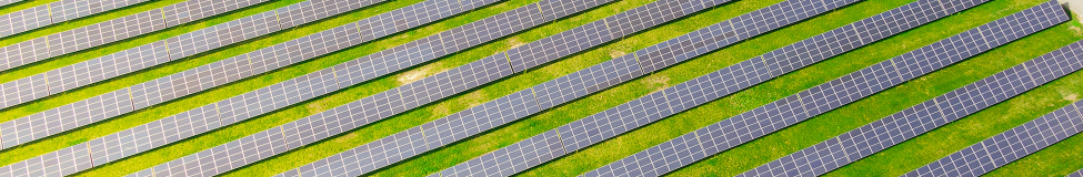 Executive Courses Tap the Sustainable Investing Boom