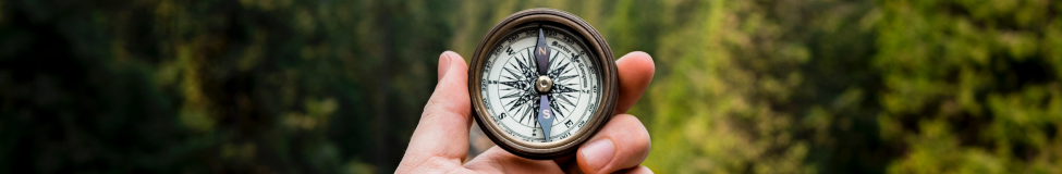 Boom Time for Executive Coaching Programs