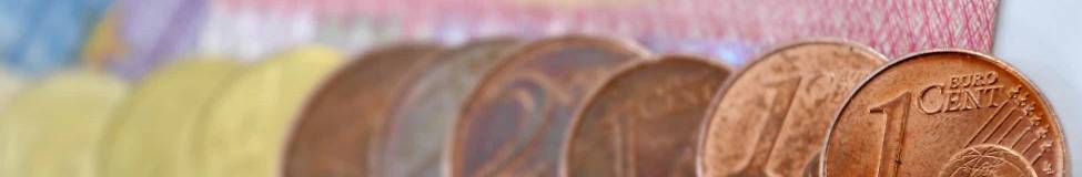 Executive Courses in Finance Tackle Sustainability