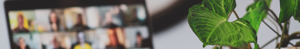 Executive Education Helps Leaders Navigate the Virtual World of Work