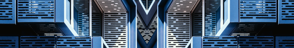 Executive Courses Explore the Metaverse