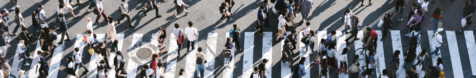 Nudge Theory: Executive Courses in Behavioral Science