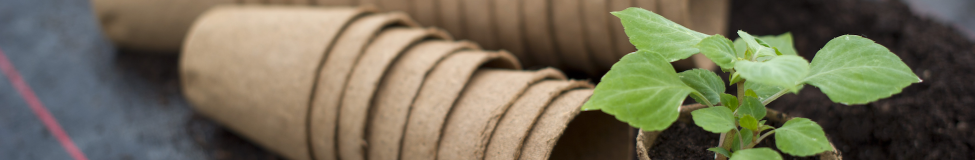 Executive Courses in Social Impact