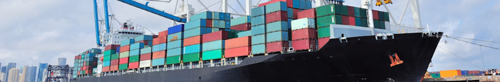 Executive Courses in Supply Chain Management