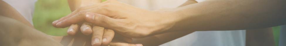  Top 10 Executive Courses for Social Entrepreneurs and Nonprofit Leaders 