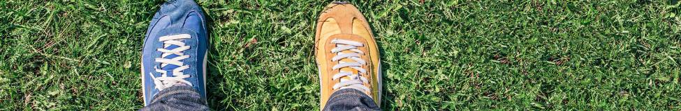  Top 10 Executive Courses in Leading Organizational Change 