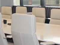 Executive Education Programs in Corporate Governance
