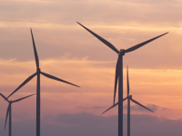 Sustainability Leadership Courses Go Beyond the Bottom Line