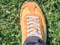 For the Better: Executive Courses in Change Management
