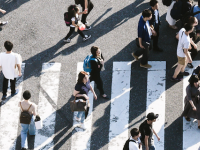 Nudge Theory: Executive Courses in Behavioral Science