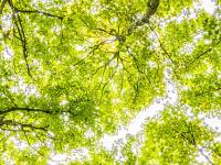 Sharing Value: Executive Programs in CSR
