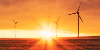 Environmental, Social, and Governance (ESG) Courses Take Off