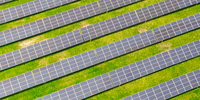 Executive Courses Tap the Sustainable Investing Boom