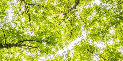 Sharing Value: Executive Programs in CSR
